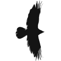 SPACEPUNK Mobile app preview